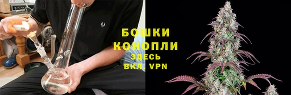 ПСИЛОЦИБИНОВЫЕ ГРИБЫ Наволоки