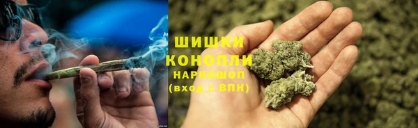 ПСИЛОЦИБИНОВЫЕ ГРИБЫ Наволоки
