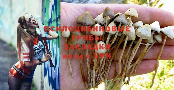 ПСИЛОЦИБИНОВЫЕ ГРИБЫ Наволоки