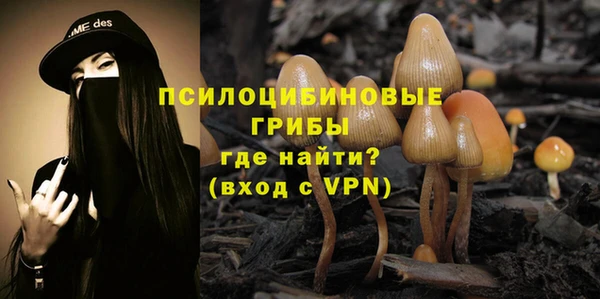 ПСИЛОЦИБИНОВЫЕ ГРИБЫ Наволоки