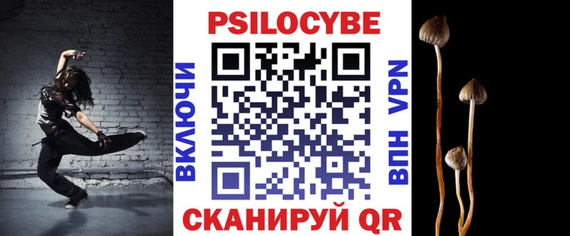 Галлюциногенные грибы Psilocybe кракен ссылки Комсомольск-на-Амуре