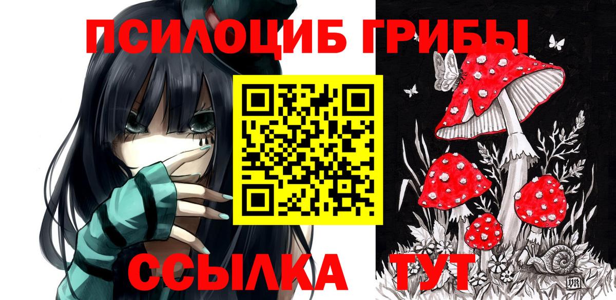 Комсомольск-на-Амуре  Галлюциногенные грибы Magic Shrooms  Вход с VPN 