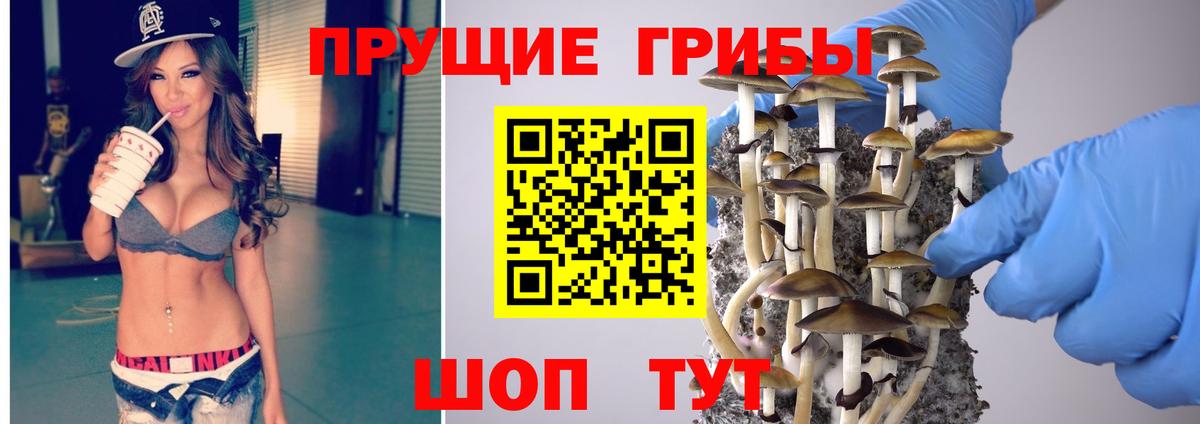 Галлюциногенные грибы прущие грибы  Псилоцибиновые грибы MAGIC MUSHROOMS  Комсомольск-на-Амуре 